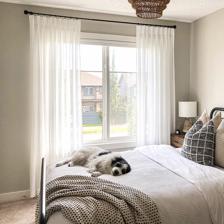 Curtarra Tom Durable Scratch Resistant Sheer Curtains hanging on a bedroom window with a dog resting comfortably on the bed