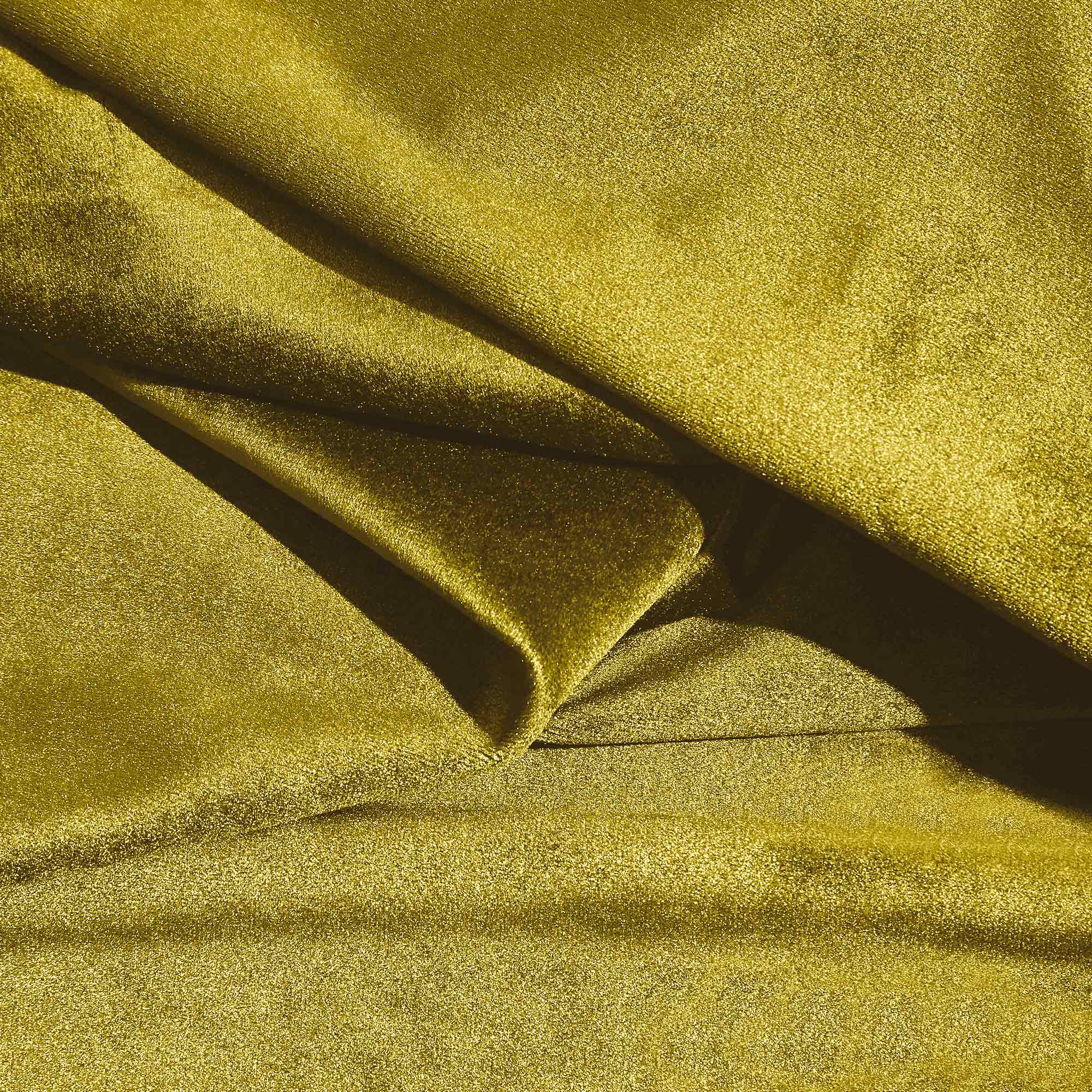 Goldpalme